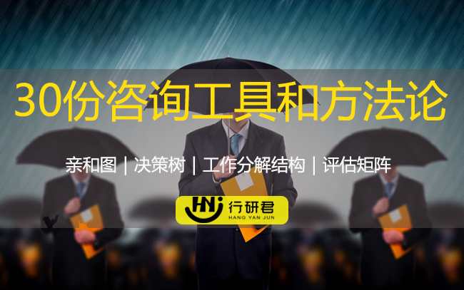 30份咨询工具和方法论