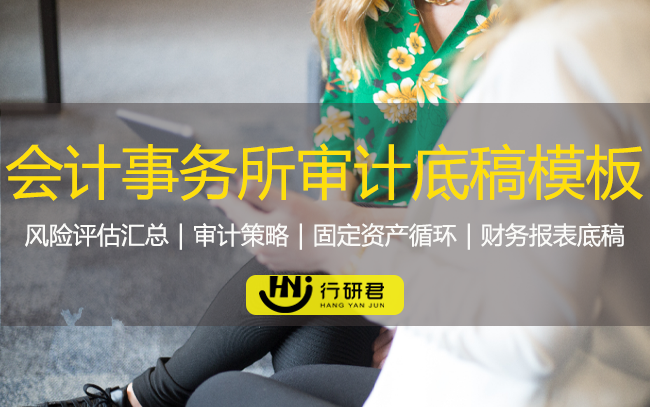 会计事务所全套审计工作底稿模板
