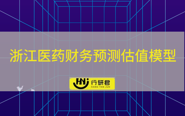 浙江医药财务预测估值模型资料包